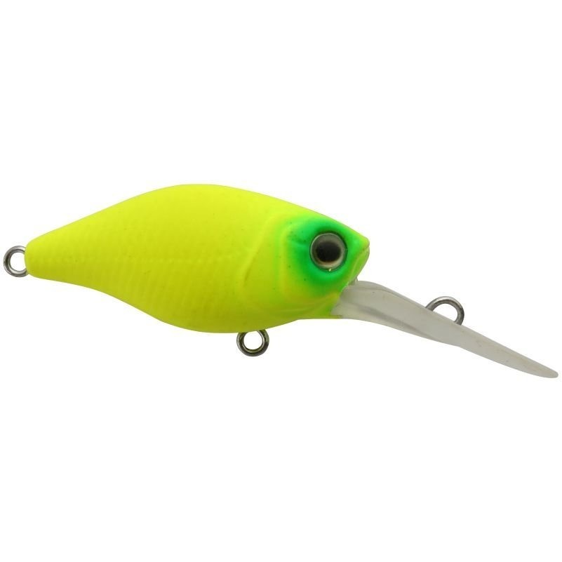 WhatsApp Image 2025-09-23 at 14.43.15