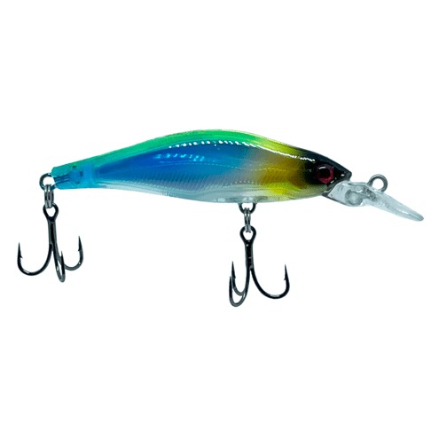 WhatsApp Image 2025-09-27 at 11.27.28 (3)