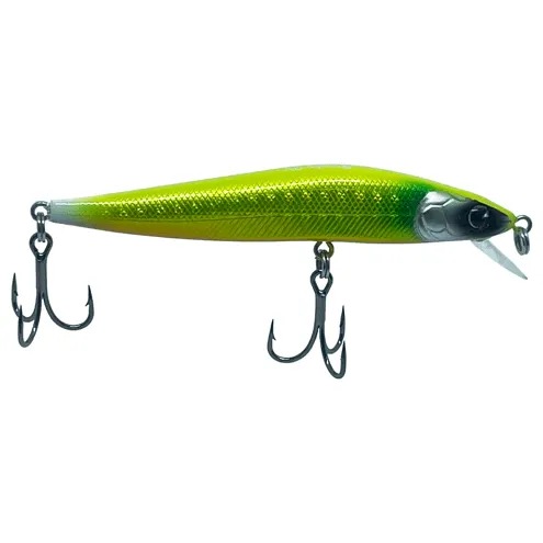 WhatsApp Image 2025-09-29 at 13.56.08